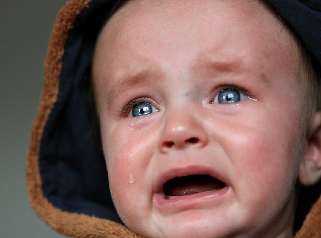 Hey Cry Hey Duggee Norrie Crying - ththomedec.net
