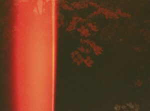 iggy azalea onlyfans leaked